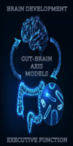 Brain Development, Gut-Brain Axis Models, Executive Function