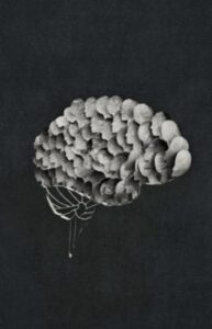 Geangu Lab Brain graphic
