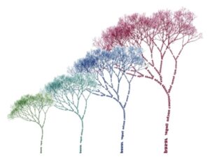 Hassan Lab Tree Graphic