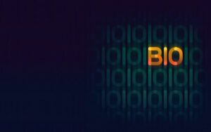 Q4Bio