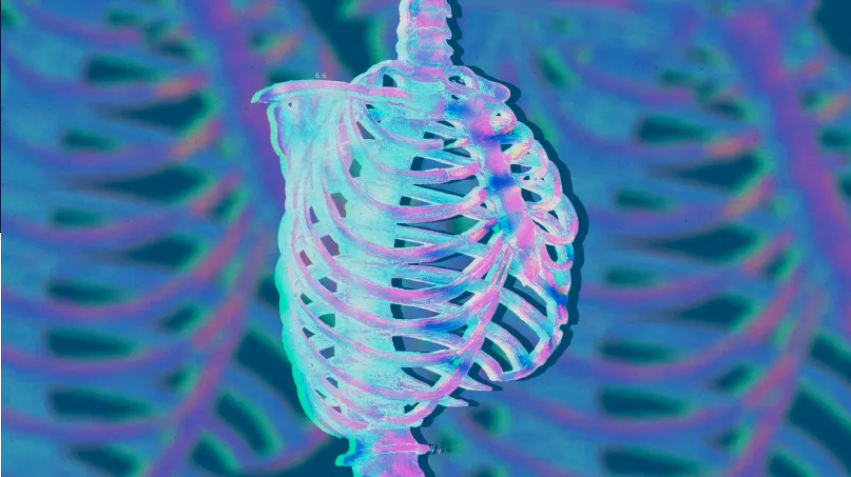 credit: Stephanie Arnett/MIT Technology Review | rawpixel